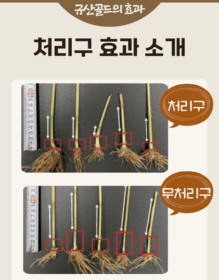 농업마켓365님의 작성글 사진