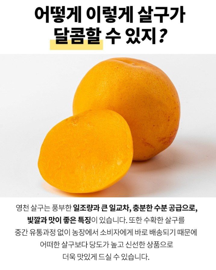 자두14488님의 장터 판매 상품 [살구 4kg 여름제철 과일] 첨부 사진