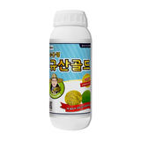 팜모닝 · 게시글 이미지