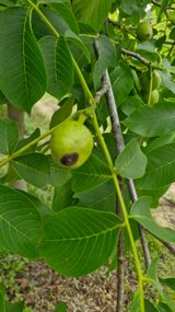 팜모닝 자유주제·자유게시판 게시글 이미지