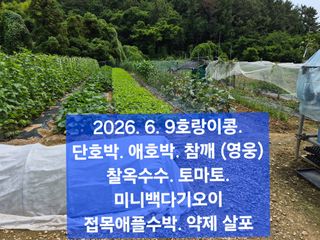 박성민님의 자유주제 · 자유게시판 작성글 사진