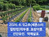 팜모닝 자유주제·자유게시판 게시글 이미지