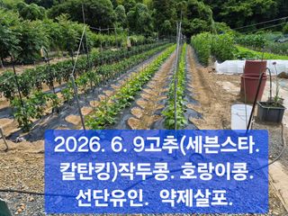 박성민님의 자유주제 · 자유게시판 작성글 사진