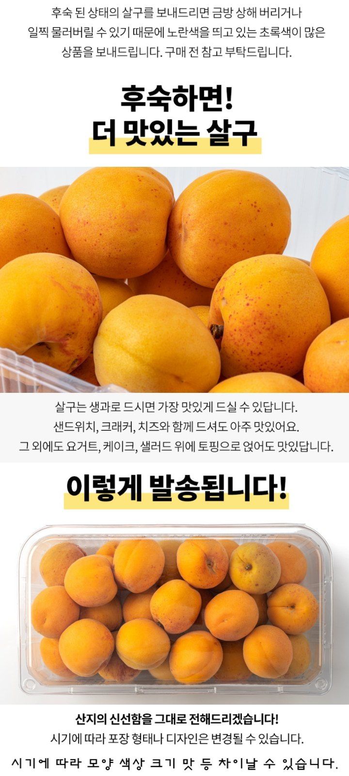 자두14488님의 장터 판매 상품 [살구 4kg 여름제철 과일] 첨부 사진