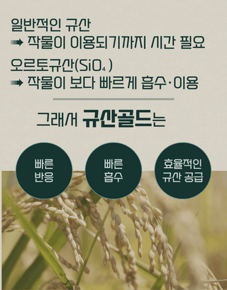 농업마켓365님의 작성글 사진
