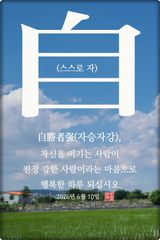 팜모닝 자유주제·자유게시판 게시글 이미지