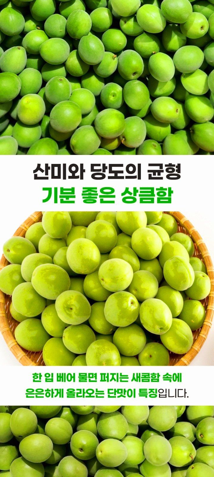 자두14488님의 장터 판매 상품 [청매실 10kg 입안 가득 퍼지는 상큼한 맛] 첨부 사진