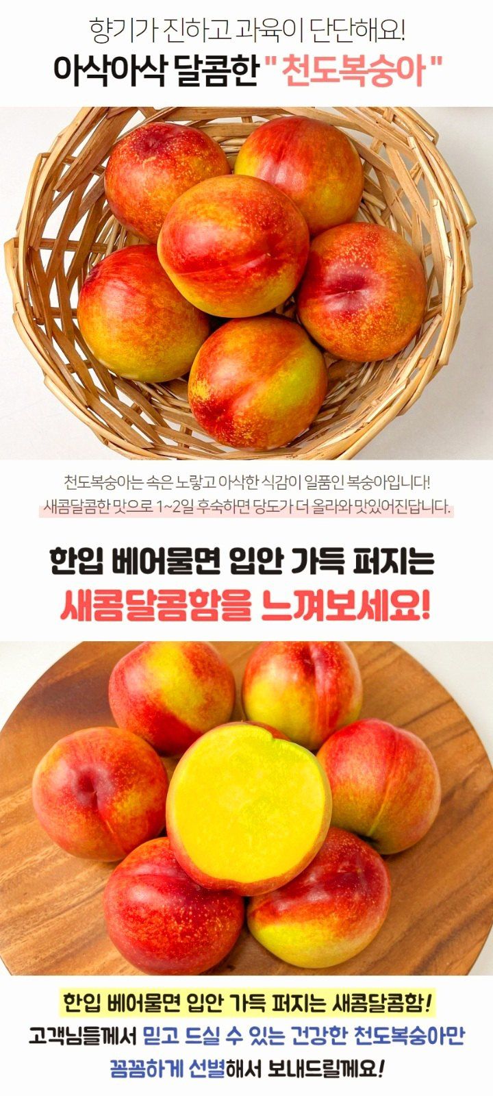 자두14488님의 장터 판매 상품 [천도복숭아 3kg 중과] 첨부 사진