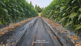 차상만님의 자유주제 · 자유게시판 작성글 사진