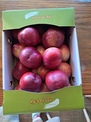 윤형곤님의 자유주제 · 자유게시판 작성글 사진