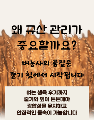 농업마켓365님의 작성글 사진