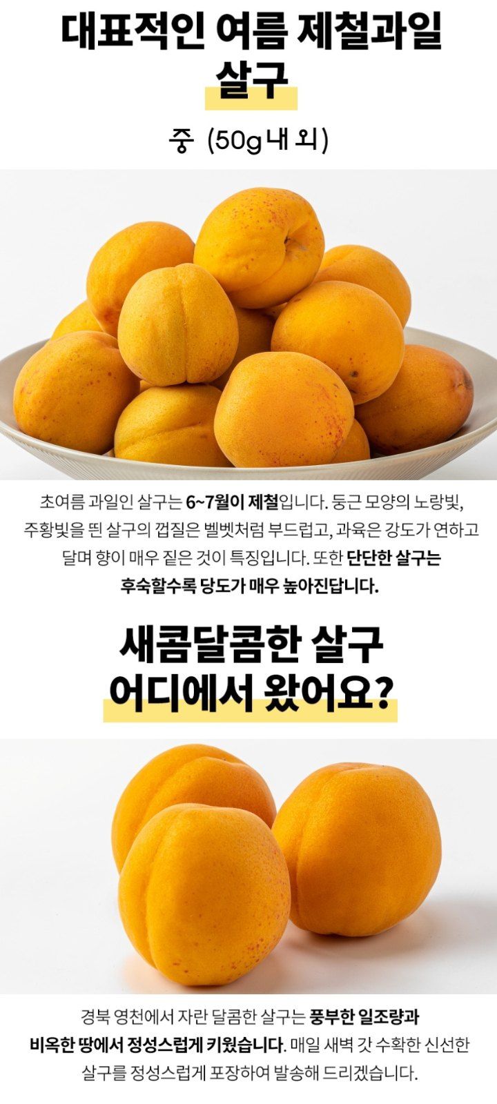자두14488님의 장터 판매 상품 [살구 4kg 여름제철 과일] 첨부 사진