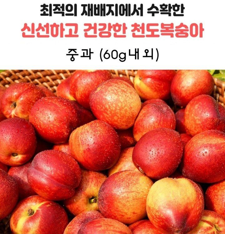 자두14488님의 장터 판매 상품 [천도복숭아 3kg 중과] 첨부 사진