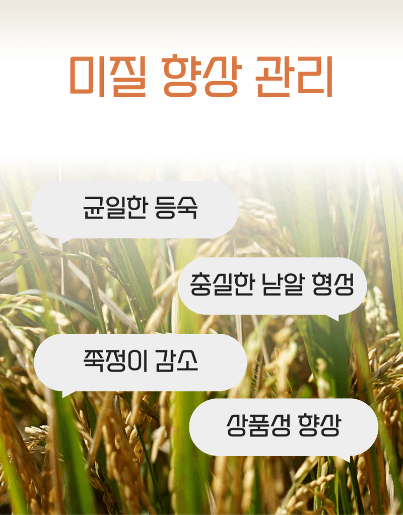 농업마켓365님의 장터 판매 상품 [규산골드 액제 1L 수도작비료 벼전용 도복경감 규산비료 미질향상 항공방제] 첨부 사진
