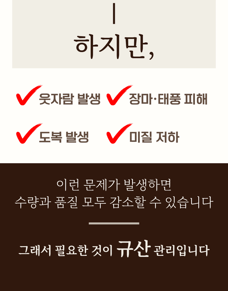 농업마켓365님의 장터 판매 상품 [규산골드 액제 1L 수도작비료 벼전용 도복경감 규산비료 미질향상 항공방제] 첨부 사진