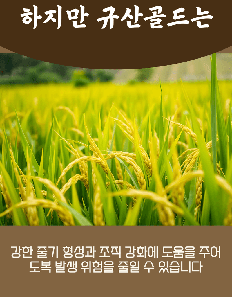 농업마켓365님의 장터 판매 상품 [규산골드 액제 1L 수도작비료 벼전용 도복경감 규산비료 미질향상 항공방제] 첨부 사진