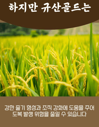 농업마켓365님의 작성글 사진