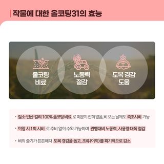 누보농장님의 자유주제 · 자유게시판 작성글 사진