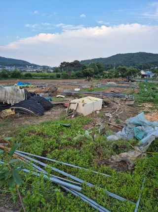 이정민님의 자유주제 · 사진전 작성글 사진