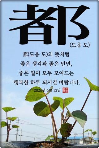 정진해님의 자유주제 · 자유게시판 작성글 사진