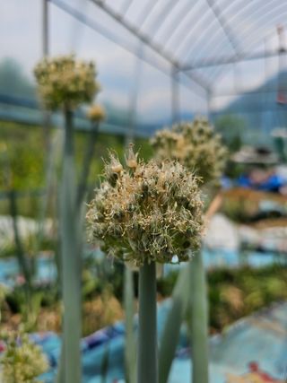 farmer님의 자유주제 · 자유게시판 작성글 사진