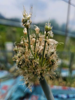 farmer님의 자유주제·자유게시판 작성글 사진