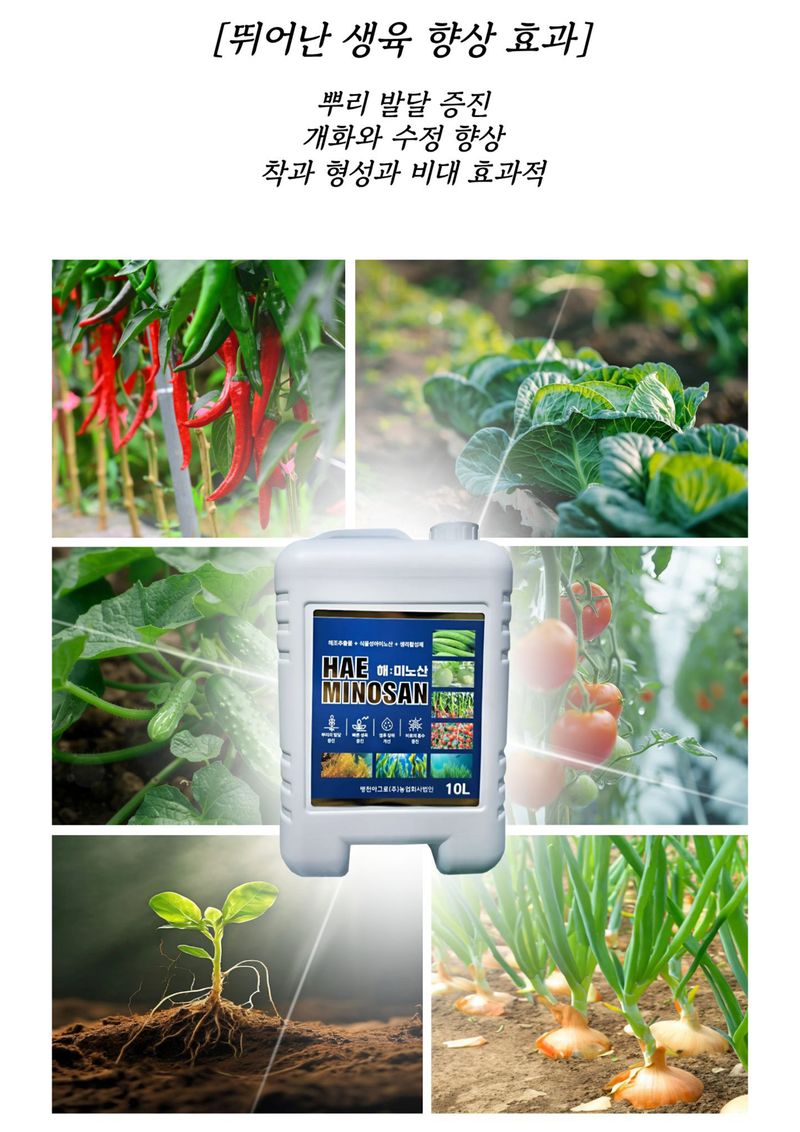 신탄진농약비료마트님의 장터 판매 상품 [프리미엄 관주 비료 해미노산10L 해조류에서 추출한 천연 효소분해 아미노산 킬레이트 미량요소 오이하우스단지 토마토 ] 첨부 사진