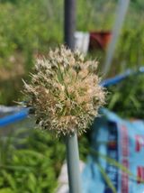 farmer님의 자유주제·자유게시판 작성글 사진