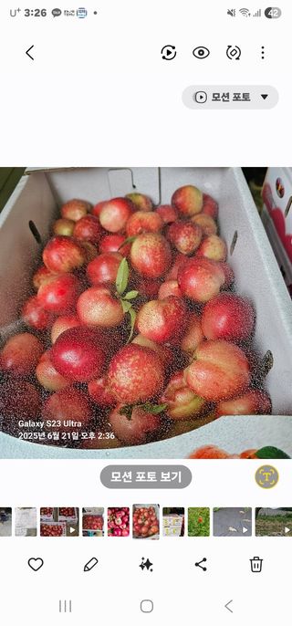 김정우님의 자유주제·자유게시판 작성글 사진