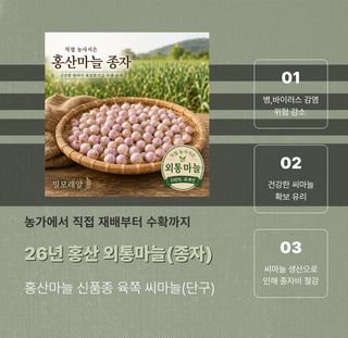 조새힘님의 작성글 사진