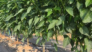 차상만님의 자유주제 · 자유게시판 작성글 사진