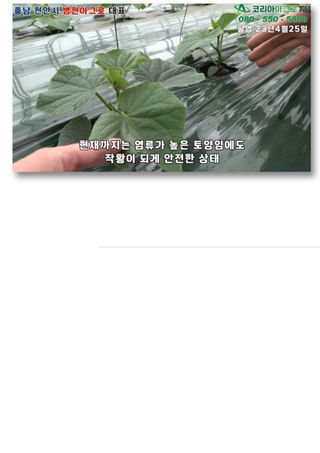 신탄진농약비료마트님의 작성글 사진