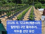 박성민님의 자유주제·자유게시판 작성글 사진