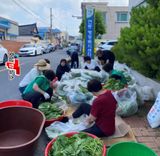 팜모닝 자유주제·자유게시판 게시글 이미지