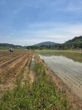 김영진(전남영광)님의 자유주제 · 자유게시판 작성글 사진