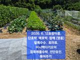 박성민님의 자유주제·자유게시판 작성글 사진