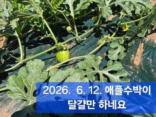 박성민님의 자유주제·자유게시판 작성글 사진