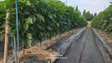 차상만님의 자유주제·자유게시판 작성글 사진