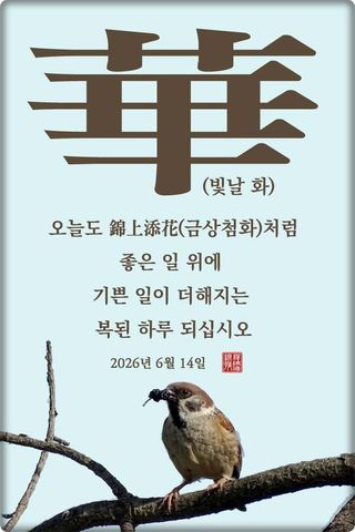 정진해님의 자유주제 · 자유게시판 작성글 사진