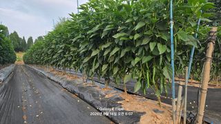 차상만님의 자유주제 · 자유게시판 작성글 사진