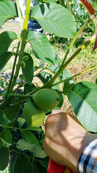 까두까두 님의 자유주제 · 자유게시판 작성글 사진