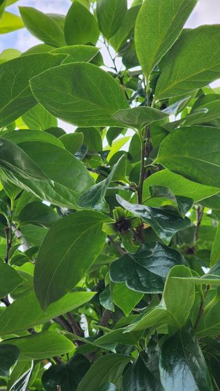 장영수님의 자유주제 · 자유게시판 작성글 사진