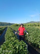 이창우님의 자유주제·자유게시판 작성글 사진