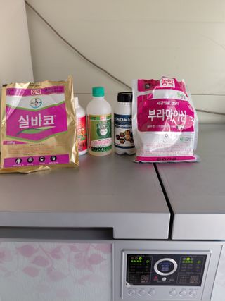 심무재 님의 자유주제 · 자유게시판 작성글 사진