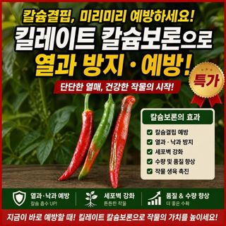 대산농사대장님의 고추·비료•농약 작성글 사진