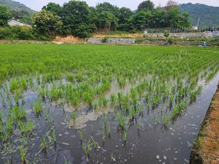 이규용님의 자유주제 · 자유게시판 작성글 사진
