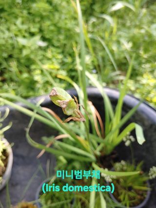 달맛햇복숭아농원님의 자유주제 · 자유게시판 작성글 사진