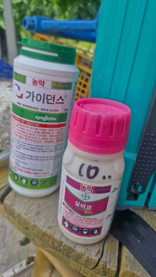정석구님의 자유주제 · 자유게시판 작성글 사진