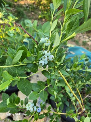 소병찬님의 자유주제 · 자유게시판 작성글 사진