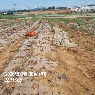 민들레님의 자유주제 · 자유게시판 작성글 사진